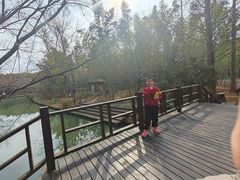 -同里国家湿地公园