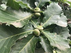 -白草畔自然风景区