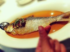 古法秘制蒸鲥鱼-麟1929(外滩店)