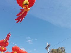 -上海海昌海洋公园