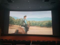 -悦江新远影城IMAX