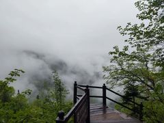 -凤凰山国家森林公园