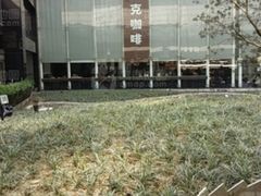 -星巴克(北京西大望路温特莱店)