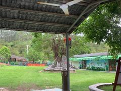 -田园寨农园观光园