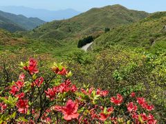 -大围山国家森林公园