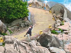 -广东惠东海龟国家级自然保护区