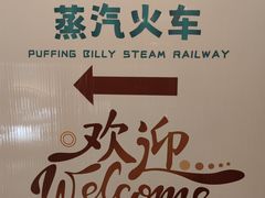 -普芬比利蒸汽火车