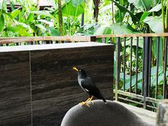 -植物园哈利亚餐厅