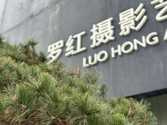 -罗红摄影艺术馆