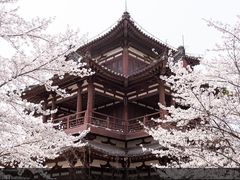 -西安青龙寺遗址景区