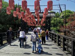 -合肥三国新城遗址公园