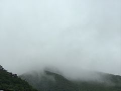 -大连天门山国家森林公园