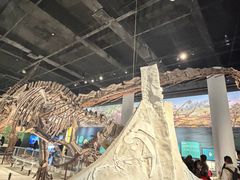 -国家自然博物馆