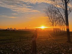 -汉长安城未央宫国家考古遗址公园