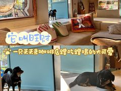 -BE YOLO必有乐&小红帽三明治