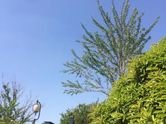 -宝龙广场(蓬莱区)