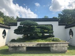 -盆景园(扬州大运河文化旅游度假区)