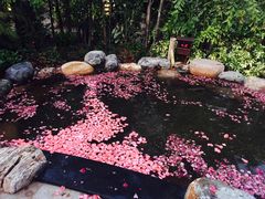 -厦门日月谷温泉渡假村