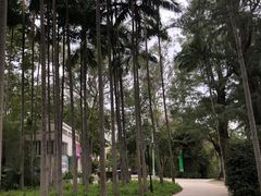 -北海市海滨公园