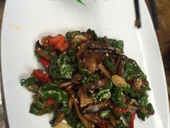 干椒炒牛肝菌-醉云喃