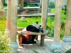 -无锡动物园·太湖欢乐园