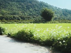 -风云岭森林公园
