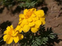 -聚宝渔港.五钻酒家(上地店)