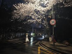 -武汉大学-樱园