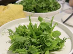 -烹然四季椰子鸡火锅(姚家园万象汇店)