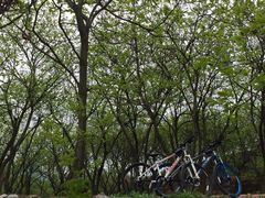 -帐篷客·溪龙茶谷度假酒店