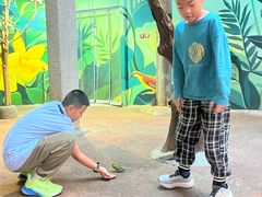 -正佳雨林生态植物园
