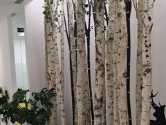 -极简口腔(总院)