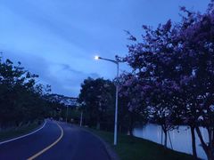 -松山湖南湖湾露营营地