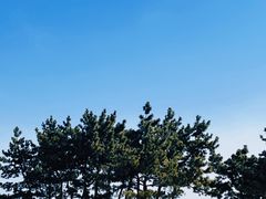 -悦海公园