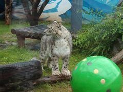 -青藏高原野生动物园