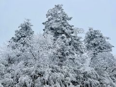 -瓦屋山景区