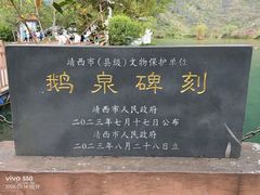 -靖西鹅泉风景区