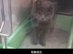 -利又安动物医院··老年病·猫科犬科·中兽医