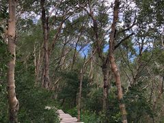 -白草畔自然风景区