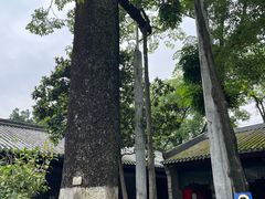 -南海神庙