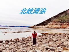 -北岐滩涂