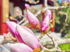 -李叔同故居纪念馆