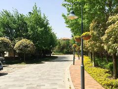 -芭东小镇温泉