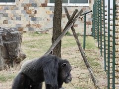 -哈尔滨北方森林动物园