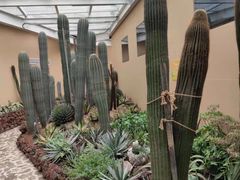 -正佳雨林生态植物园