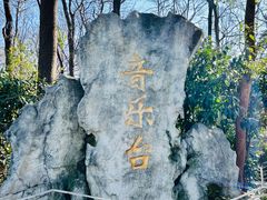-音乐台