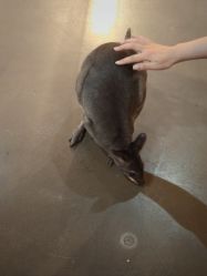 -Zoolung Zoolung动物主题公园(海信广场店)