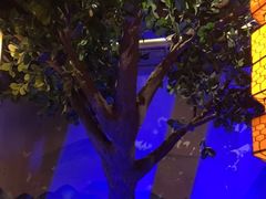 -绿茶餐厅(深圳龙华天虹购物中心店)