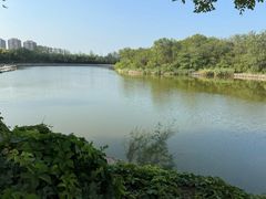 -塘沽森林公园