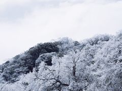 -梵净山旅游区
